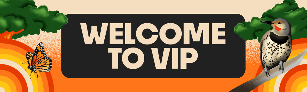 PageHeader_VIPWelcome.png